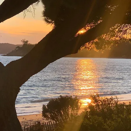 Duplex Face . Cavaliere 3 *