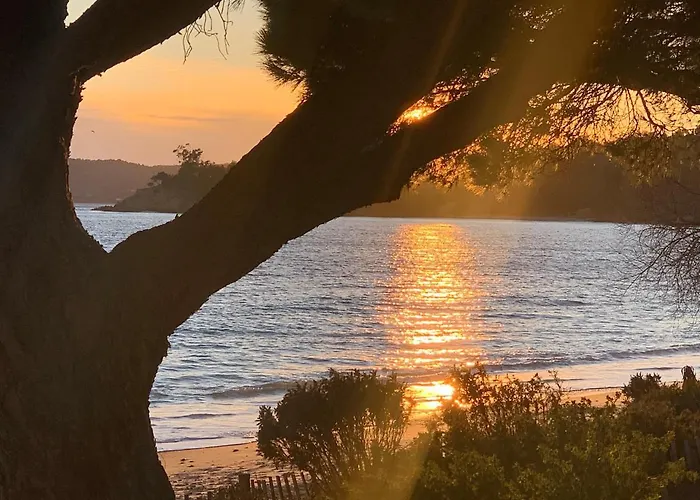 Duplex Face . Cavaliere 3 *